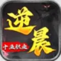 逆晨十五职业