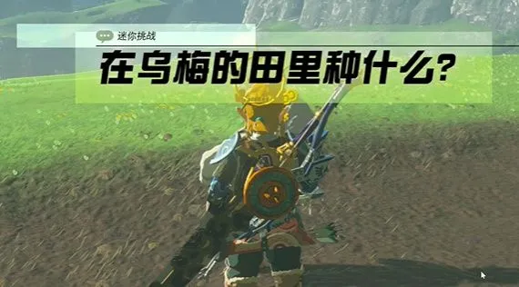 塞尔达在乌梅的田里种什么树/植物 王国之心在乌梅的田里种植推荐[多图]